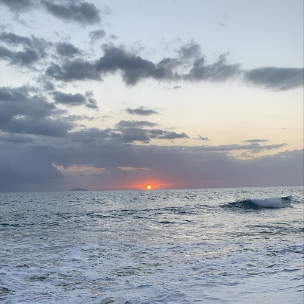 Meet your Posher, Natalia